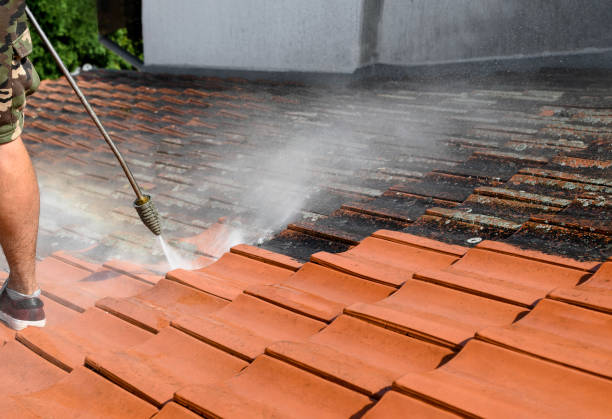 Best Affordable Pressure Washing  in Lemoore, CA