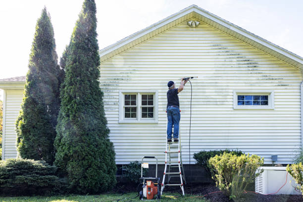 Best Sidewalk Pressure Washing  in Lemoore, CA